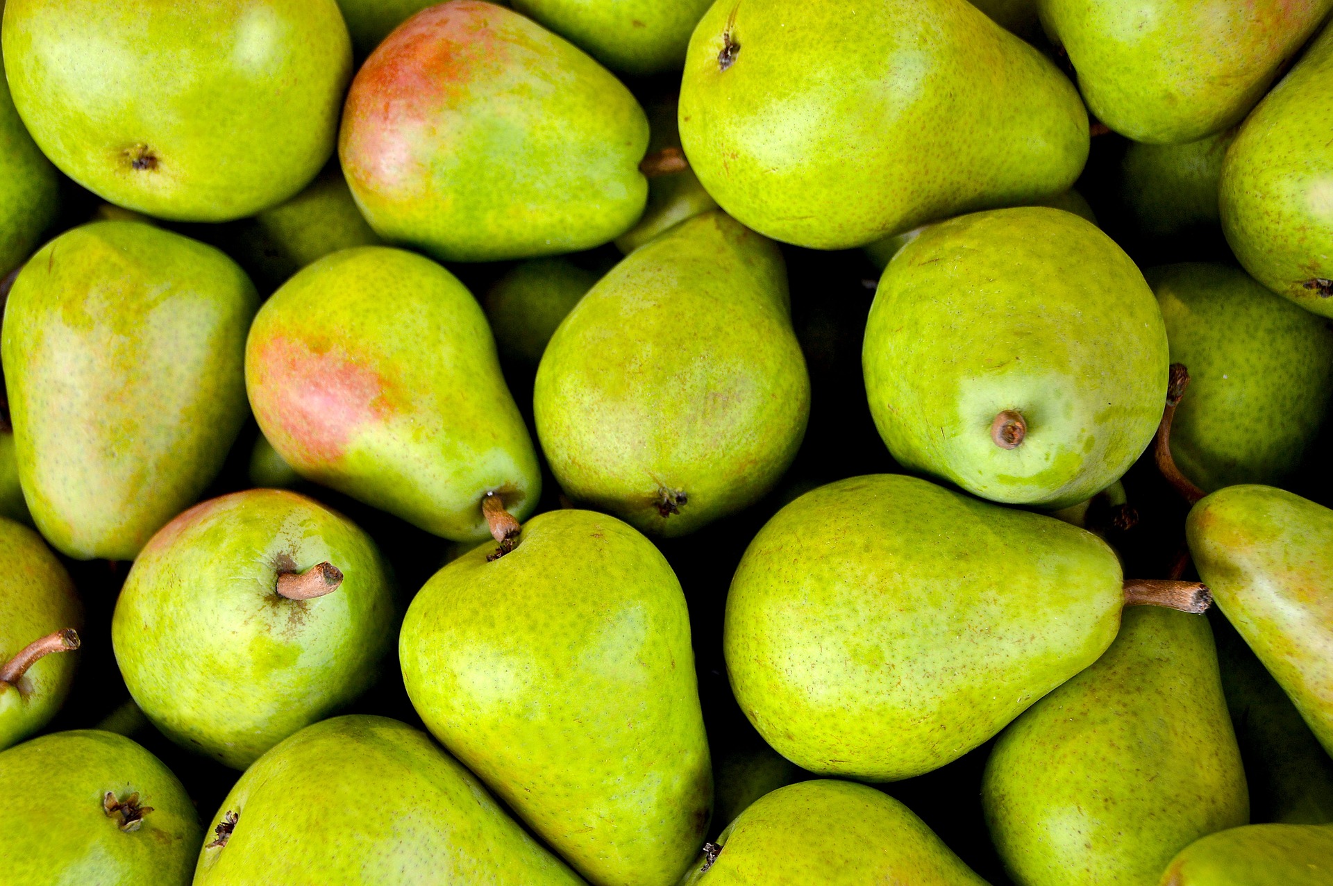 Lot of pears